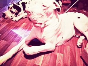 Злата Сычева: «Не помню, когда мне было легко»