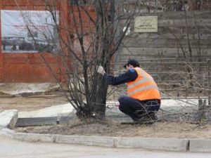 Окружная администрация города Якутска напоминает о правилах благоустройства