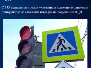 С 333 пешеходов и иных участников дорожного движения принудительно взысканы штрафы на нарушения ПДД 