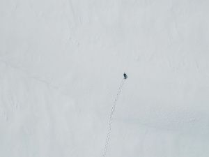 Фильм Степана Бурнашева «Черный снег» набрал за 1,5 месяца более 700 тысяч просмотров на YouTube