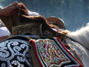 На «Ысыахе Туймаады-2023» пройдут конкурсы, посвященные Дьөһөгөй Айыы