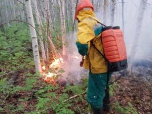 В Якутии тушат 26 лесных пожаров