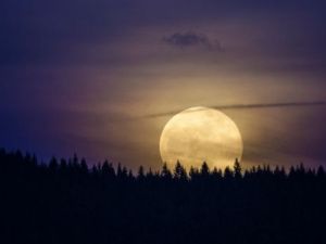 Гороскоп на 27 июня 2023 года: день для сотрудничества и тайных размышлений