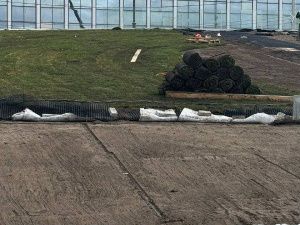 Приживется ли? Эксперимент с рулонным газоном проводят на площади Ленина