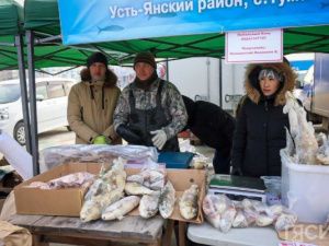 Рыба по доступным ценам: в Якутске на три дня откроется традиционная выставка-ярмарка