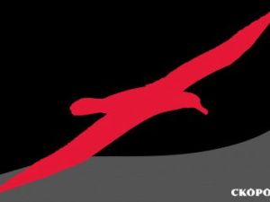 Все на митинг!