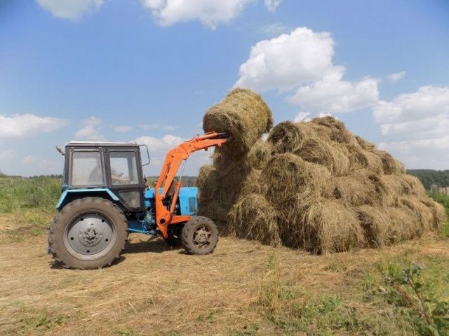 Пьяный тракторист случайно убил мужчину, лежавшего в стоге сена