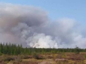 Фотофакт: в пяти километрах от села Эбях бушует лесной пожар