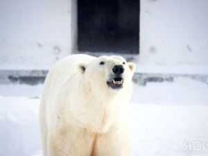 У зоопарка «Орто Дойду» появился свой аккаунт в Инстаграм