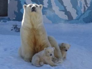 Зоопарку «Орто-Дойду» исполнилось 25 лет