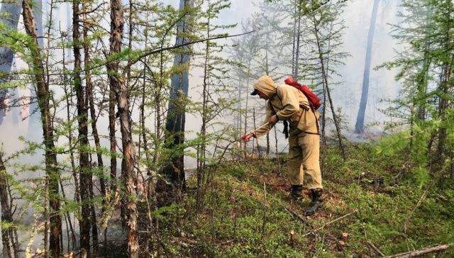 Федеральное финансирование охраны лесов Якутии от пожаров увеличили почти на 1,2 миллиарда рублей