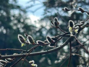 Что можно и нельзя делать 25 апреля 2024 года