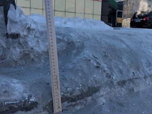 Активисты ОНФ направили властям Якутска обращение с просьбой очистить дороги от снега