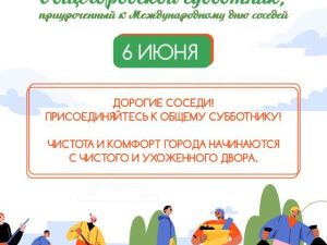 На уборку всем двором: 6 июня в Якутске проведут общегородской субботник