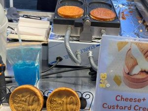 Васту советы дня от гуру Софии Булчукей