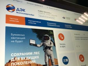 Якутяне могут получить консультацию от специалистов ДЭК по видеозвонку