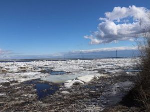 В Ленском районе найдено тело пропавшего охотника