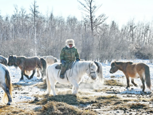 В Якутии увеличат размер финансовой поддержки на строительство конебаз