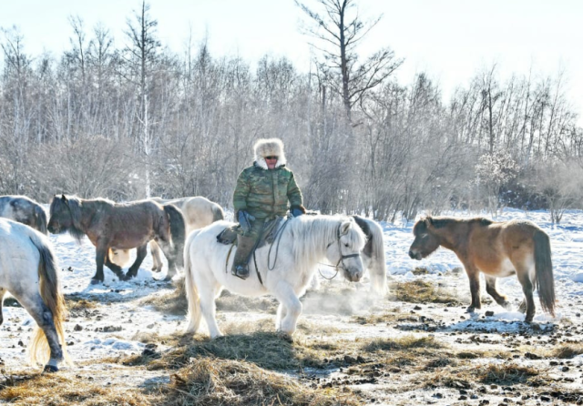 В Якутии увеличат размер финансовой поддержки на строительство конебаз