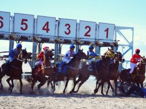 В День России состоялись конные скачки — отборочные на приз Ил Дархана