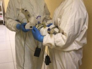 Будни инфекционного стационара