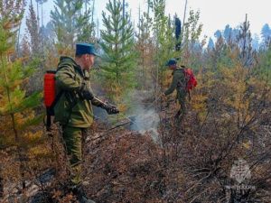 На территории Якутии действует 4 природных пожара