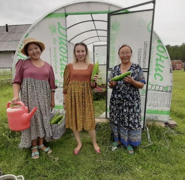 В Чурапчинском улусе начата реализация, выращенных овощей по программе «Сидя дома, занимайся семейной экономикой!»