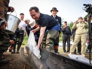В Якутии в реку Вилюй выпустили ещё 15 тысяч мальков сибирского осетра