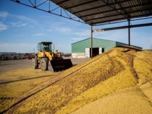 Айсен Николаев: в Якутии восстановят собственное производство комбикормов