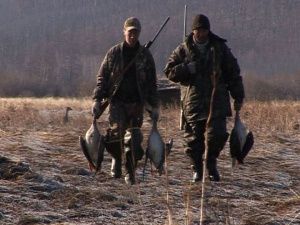 Вниманию охотников! Выдача разрешений на весеннюю охоту