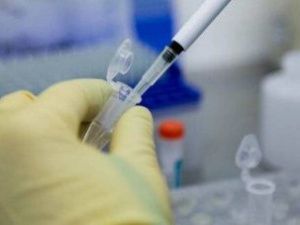 В Новосибирске проверили анализы 12 якутян на коронавирус