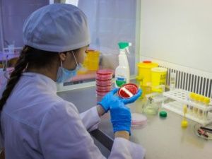 Порядка 2500 заявлений от абитуриентов поступило в колледжи и техникумы Якутии за первую неделю работы приемной кампании