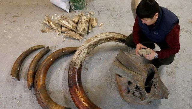 Стоит ли ждать вывода «мамонтового бизнеса» из тени?