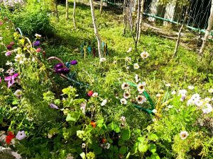 Награждение победителей конкурса "Зеленый кубок столицы 2025" прошло в Парке Победы