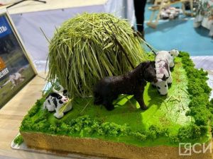 Торты на тему сельского хозяйства приготовили кондитеры Чурапчинского района Якутии