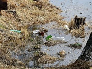 Владимир Федоров поручил усилить системную работу по санитарной очистке территорий