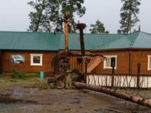 В райцентре Сунтар мощным ураганом повалены деревья и электроопоры