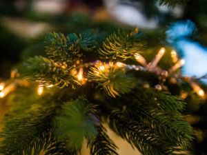 В Якутской духовной семинарии пройдут благотворительные елки