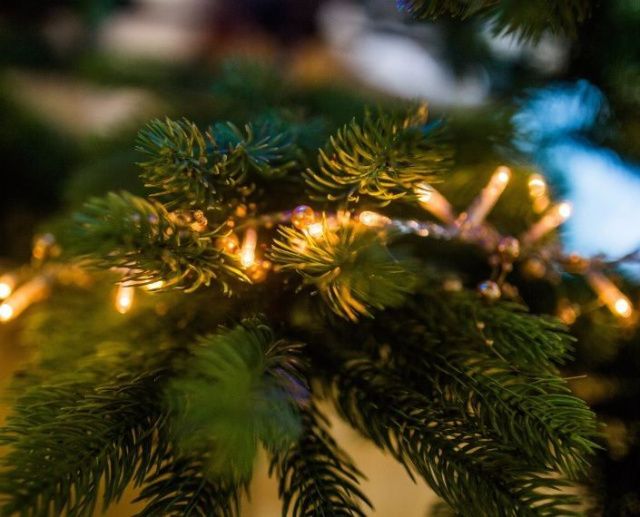 В Якутской духовной семинарии пройдут благотворительные елки