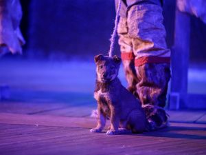 В Якутии отметили День охотника