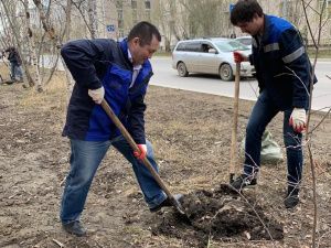 АО «Саханефтегазсбыт» поддержал акцию «Всероссийский день посадки леса»