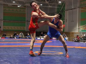 Фоторепортаж. Главные схватки чемпионата Якутии по вольной борьбе