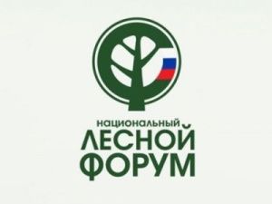 С 1 по 3 июня в Якутске пройдет Национальный лесной форум