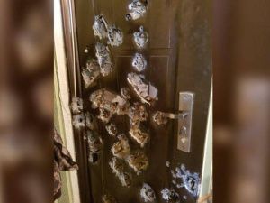 Стрелок из села Борогонцы произвел более 20 выстрелов. Жильцов дома эвакуировали