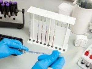 О чем говорят гены