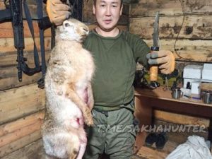 Что в меню у якутских солдат на передовой?