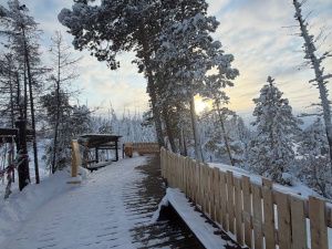 автра на Ленских столбах будет включена ночная подсветка!