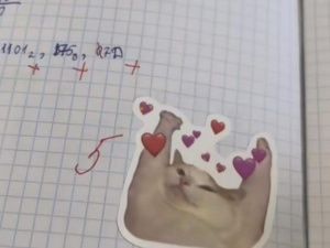 Якутская учительница с котонаклейками: «Креативность и творчество нужны в школе»