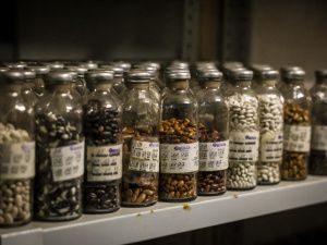 Джулустан Борисов провел совещание по вопросам развития лаборатории криохранилища Якутии