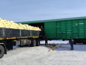 АО «АК «ЖДЯ» ежесуточно публикует на своем сайте информацию о наличии и  местонахождении социально значимых грузов